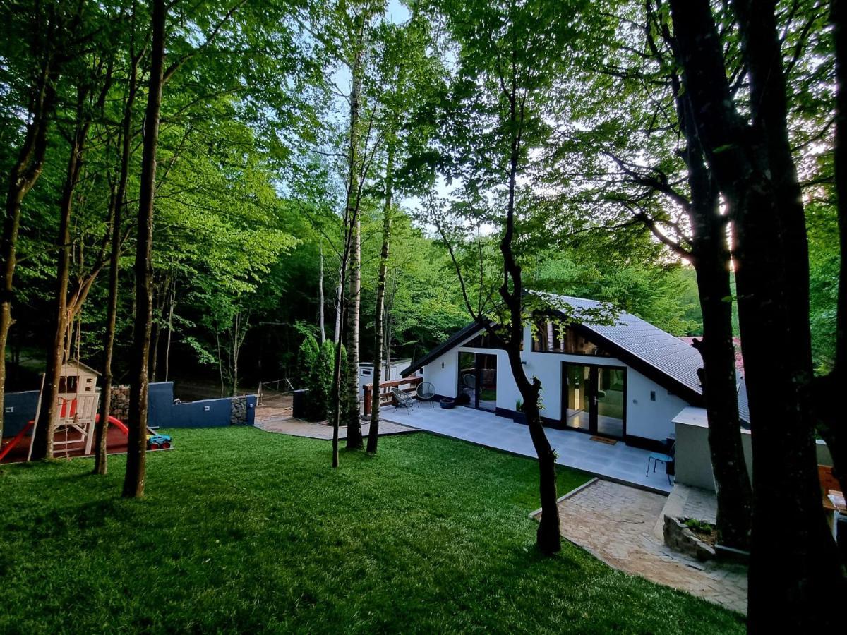 Vila Blanc Valiug Crivaia Exterior foto